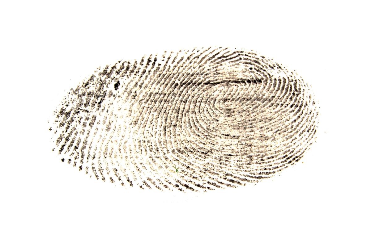 fingerprint isolated on white background